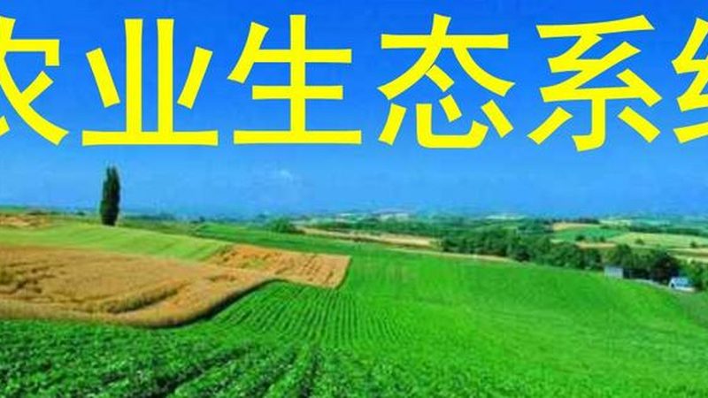 智慧灌溉系统标准规范：引领现代农业发展新篇章