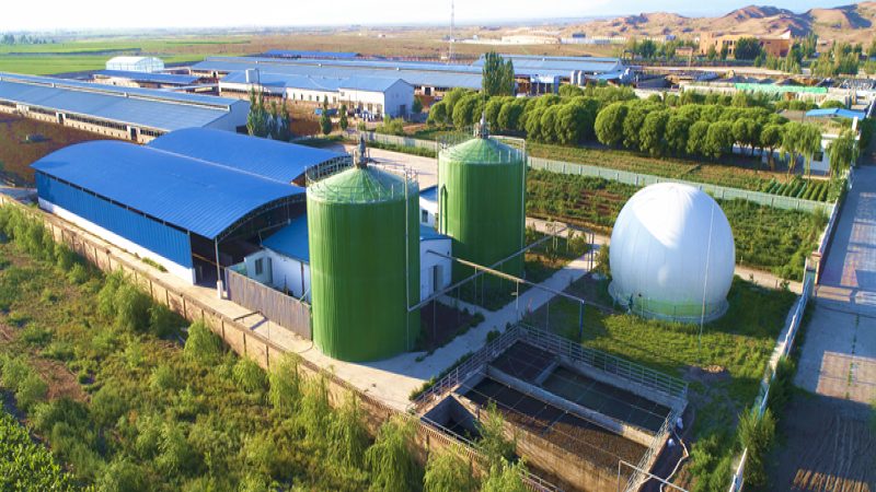 山东水果种植基地：如何确保果品质量达标？**