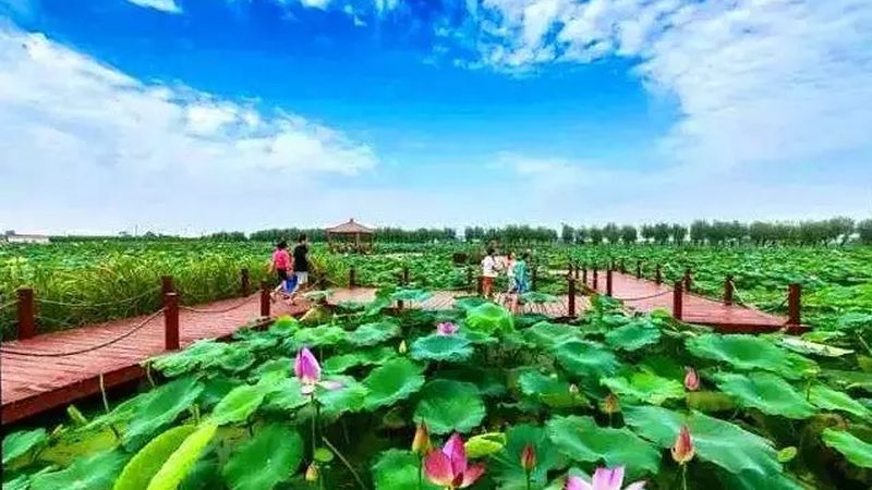 智能种植系统：价格背后的价值考量