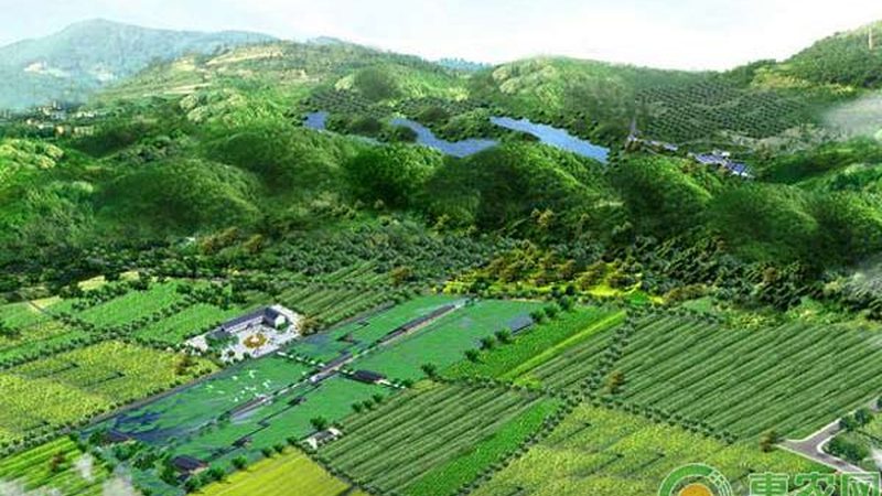 农业种植书籍加盟代理：如何选择合适的合作伙伴**