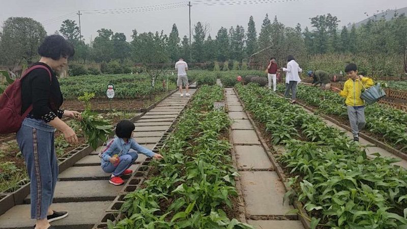 水肥一体化设备参数对比