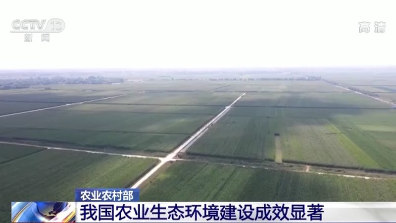 采摘节活动策划：从筹备到成功的全流程解析