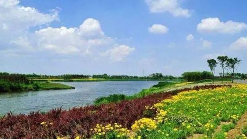 农民专业合作社工商注销所需材料