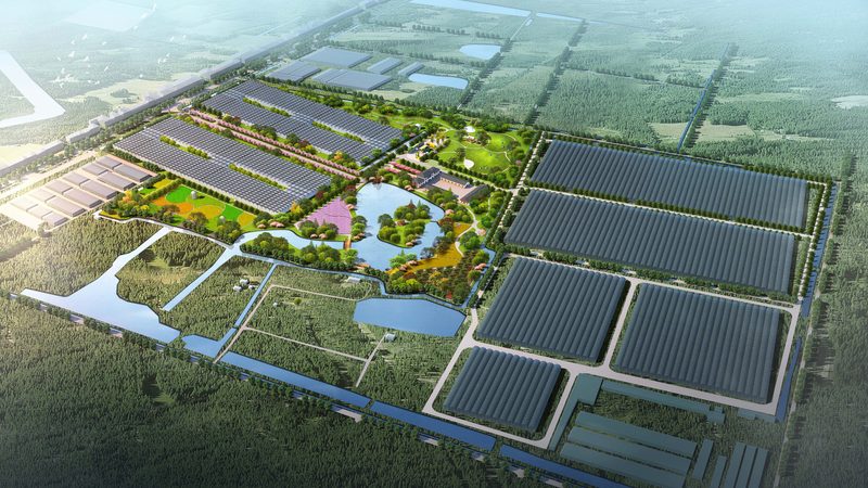 菜市场批发价查询秘籍：掌握这5招，你也能成为行家**