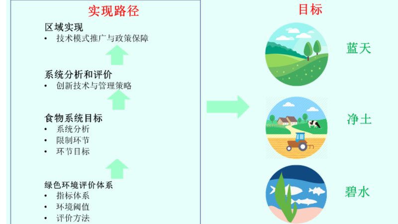 种植合作社的兴起与挑战：优势与不足分析