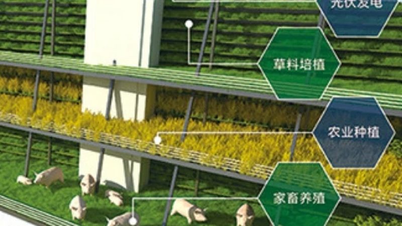 定制农资，助力现代农业发展**