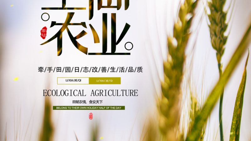 休闲农业补贴，如何选择适合自己的政策？**